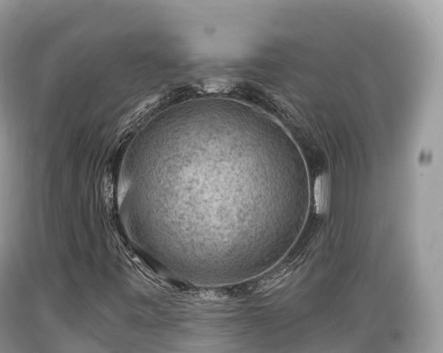 X0000089341443200706221107