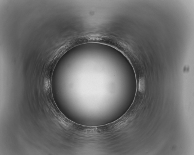 X0000089341444200706221107