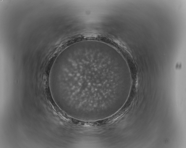 X0000089341445200706221107