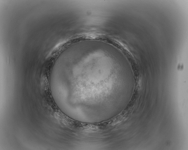 X0000089341446200706221107