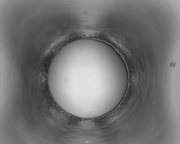 X0000089341447200706221107