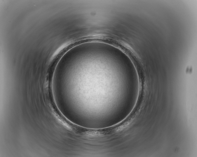 X0000089341450200706221107