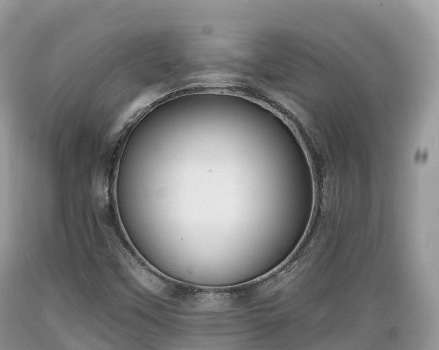 X0000089341451200706221107