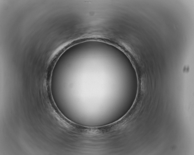 X0000089341452200706221107