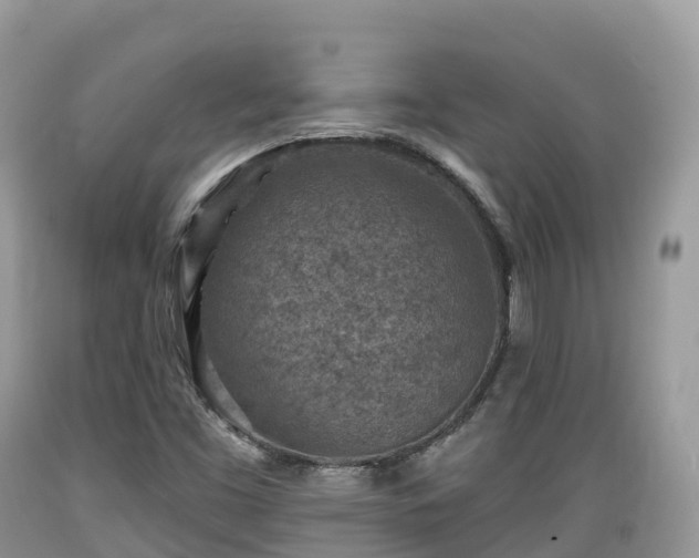 X0000089341453200706221107