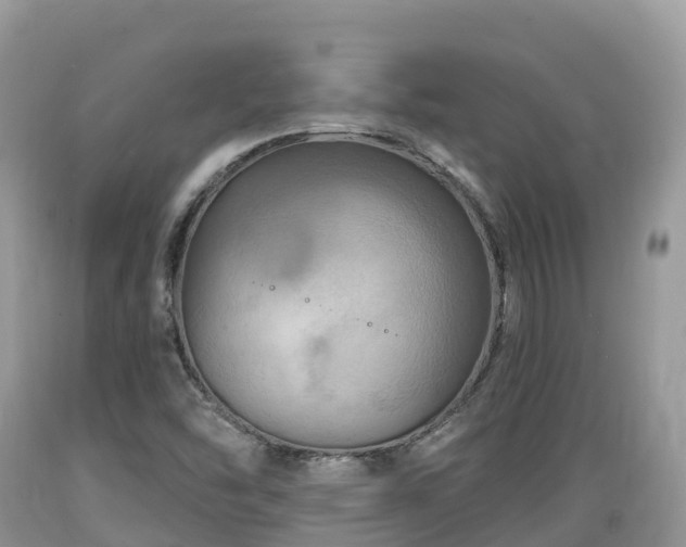 X0000089341454200706221107