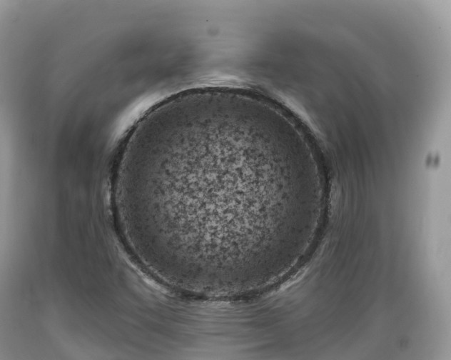 X0000089341455200706221107