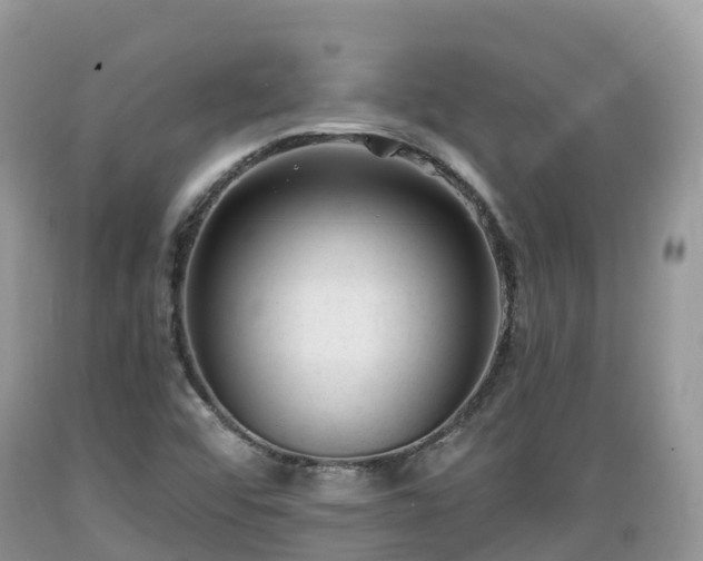 X0000089341456200706221107