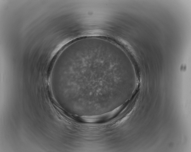 X0000089341457200706221107