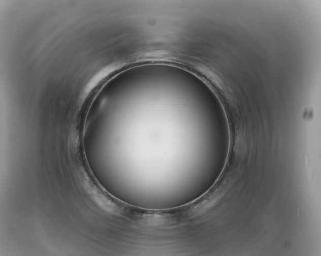 X0000089341458200706221107