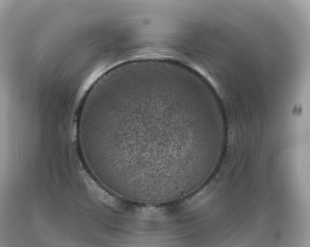 X0000089341459200706221107