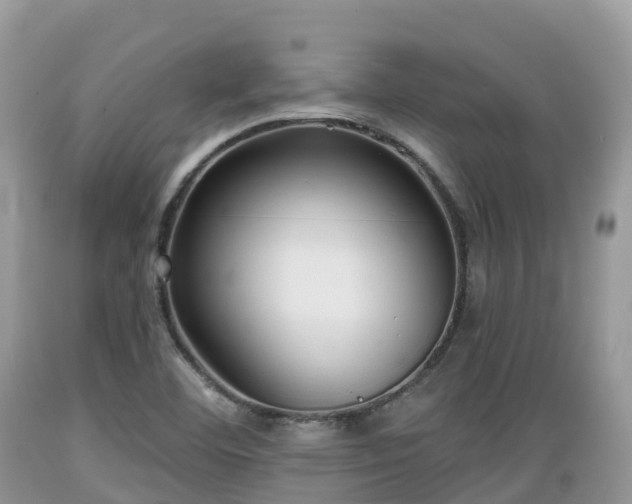 X0000089341460200706221107