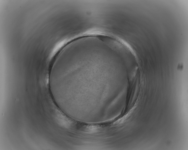 X0000089341461200706221107