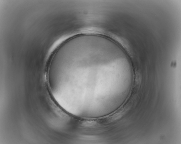 X0000089341462200706221107