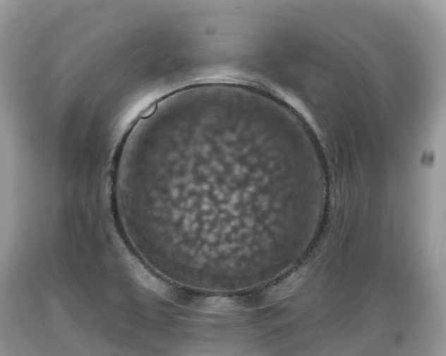X0000089341463200706221107