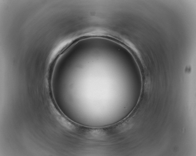 X0000089341464200706221107