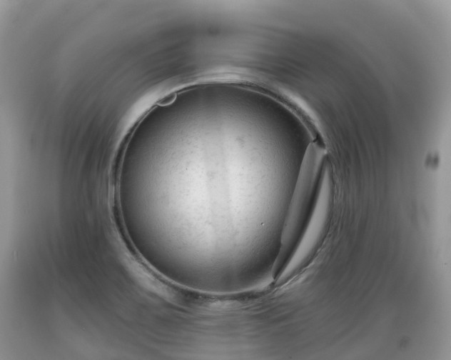 X0000089341467200706221107