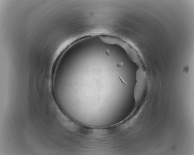 X0000089341469200706221107