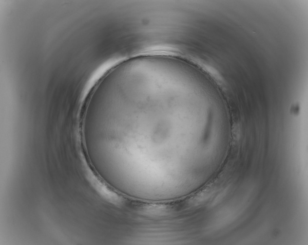X0000089341470200706221107