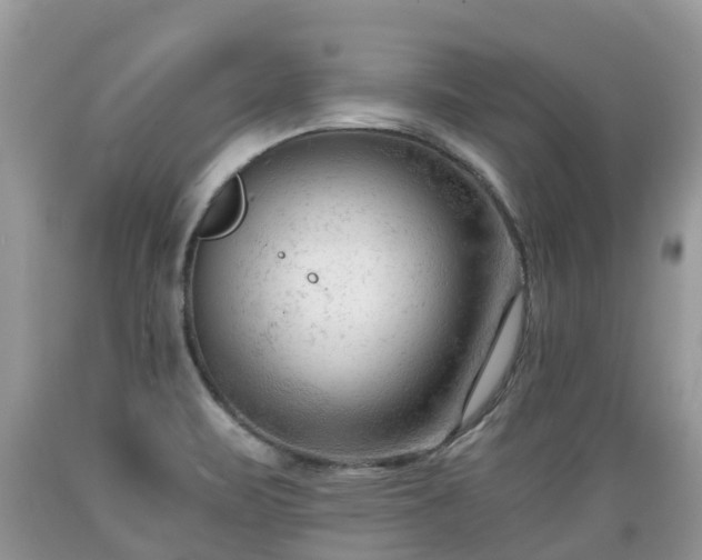 X0000089341471200706221107