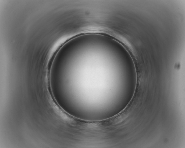 X0000089341472200706221107