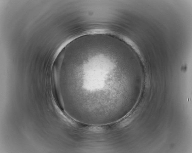 X0000089341473200706221107