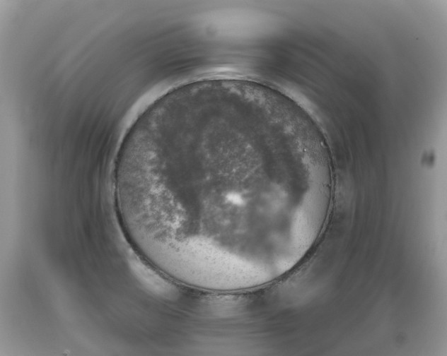 X0000089341474200706221107