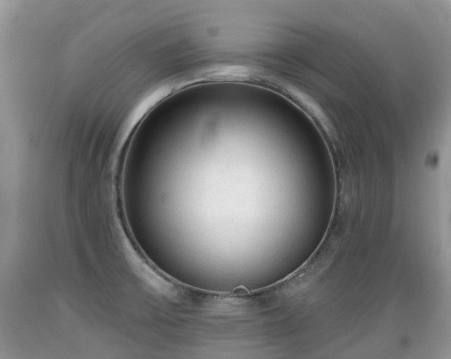 X0000089341475200706221107