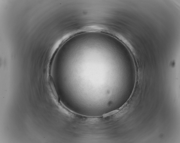 X0000089341477200706221107