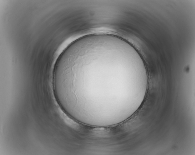 X0000089341478200706221107