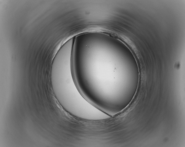 X0000089341481200706221107