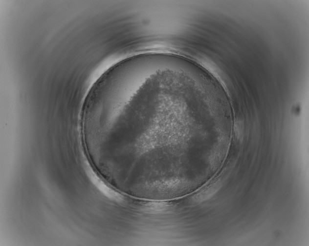X0000089341482200706221107