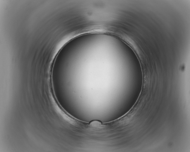 X0000089341483200706221107