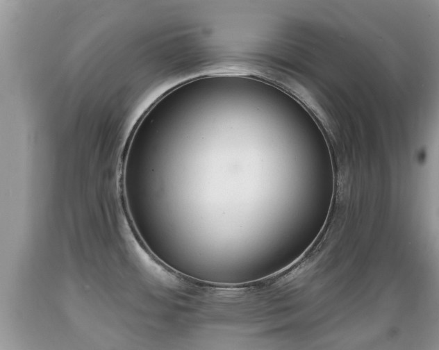 X0000089341484200706221107