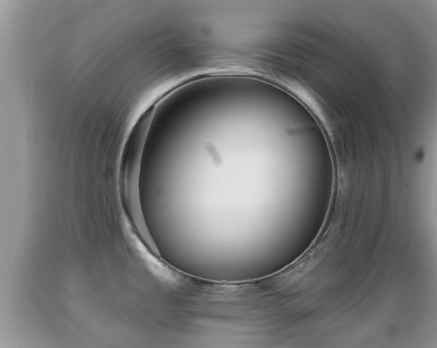 X0000089341485200706221107