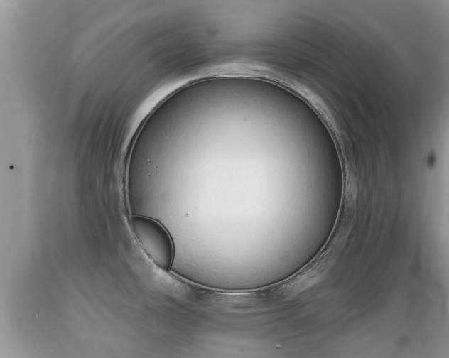 X0000089341486200706221107