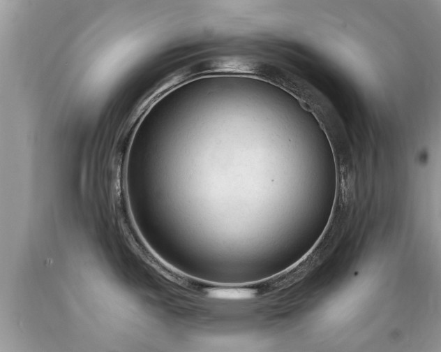 X0000089341487200706221107