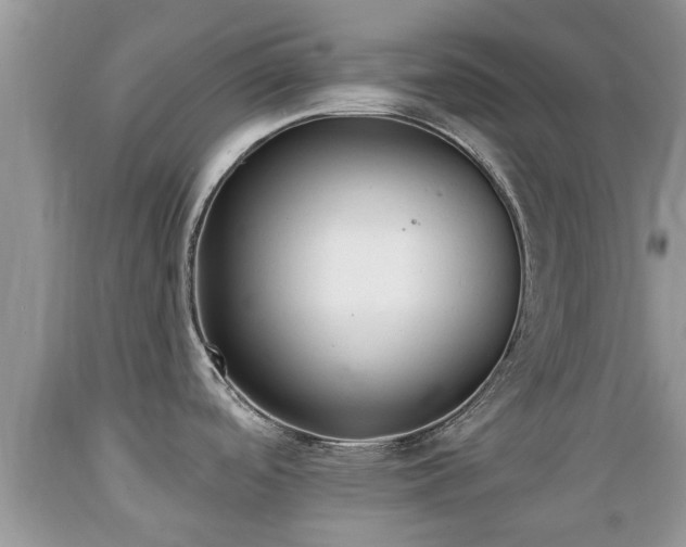 X0000089341488200706221107