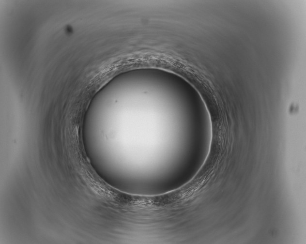 X0000089341489200706221106
