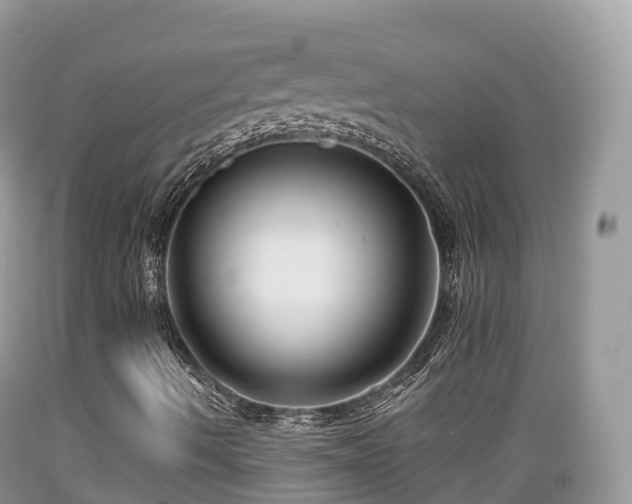 X0000089341490200706221106