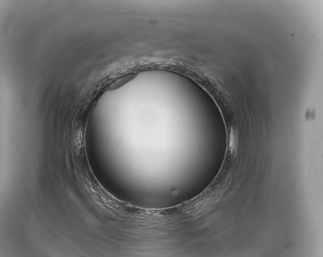 X0000089341492200706221106
