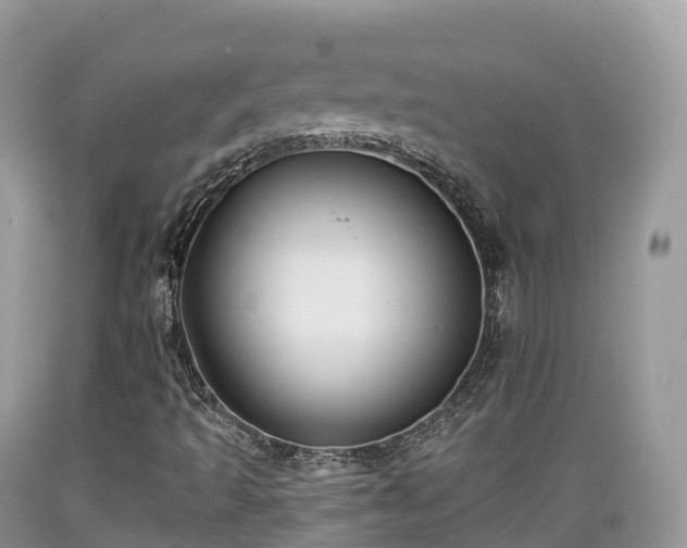 X0000089341493200706221106