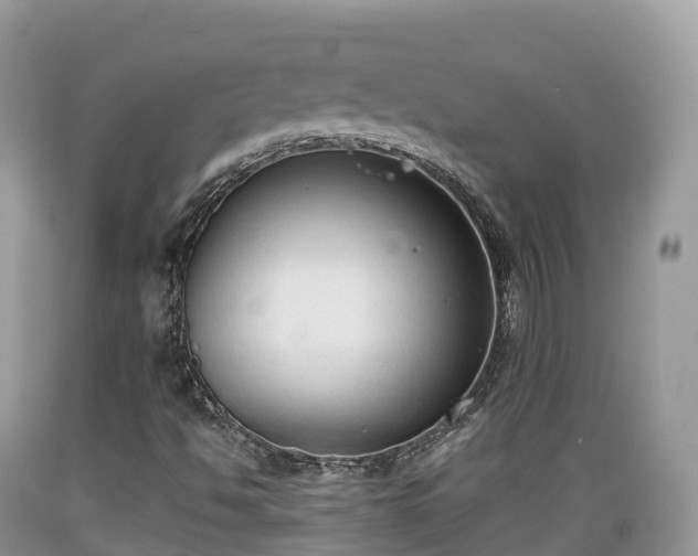 X0000089341494200706221106