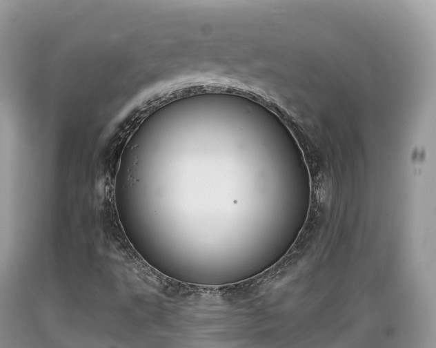 X0000089341495200706221106