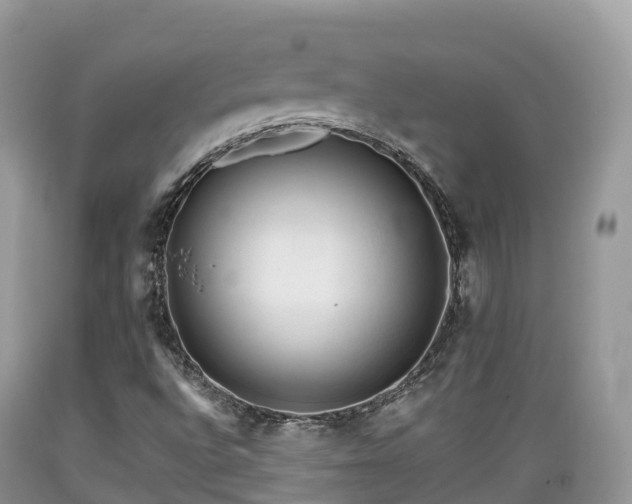 X0000089341496200706221106