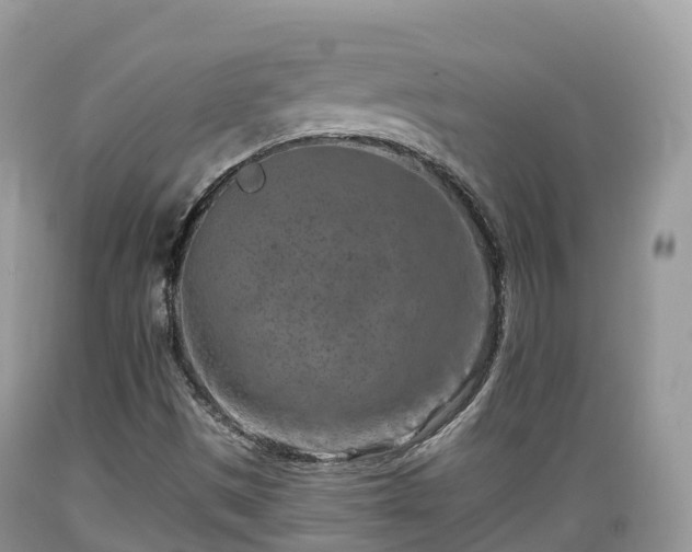 X0000089341497200706221106