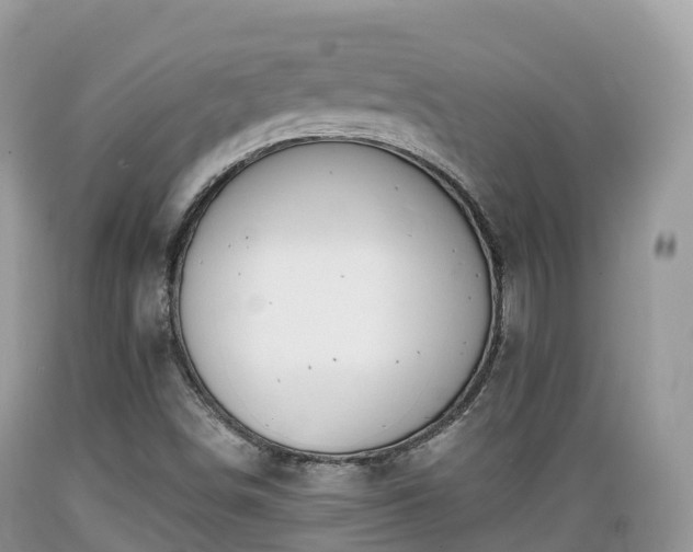 X0000089341498200706221106