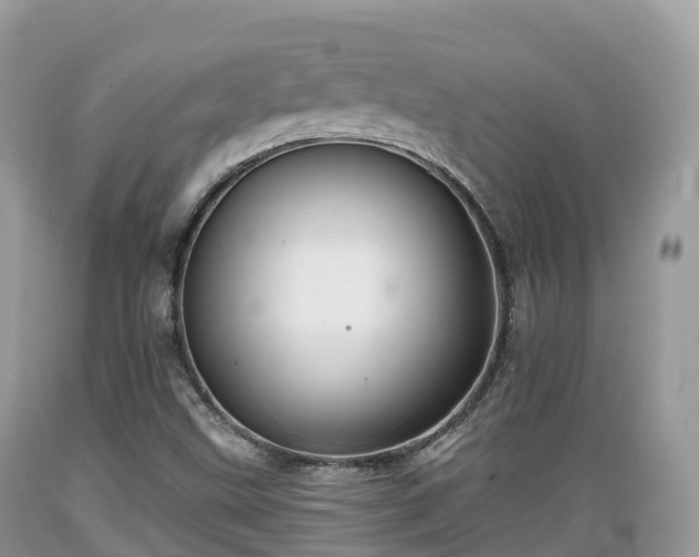 X0000089341499200706221106