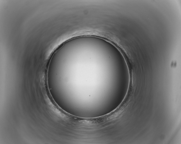 X0000089341500200706221106