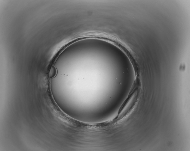 X0000089341501200706221106